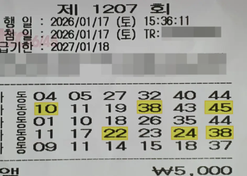 로또 1207회 당첨 5등 2장