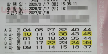 로또 1207회 당첨 5등 2장