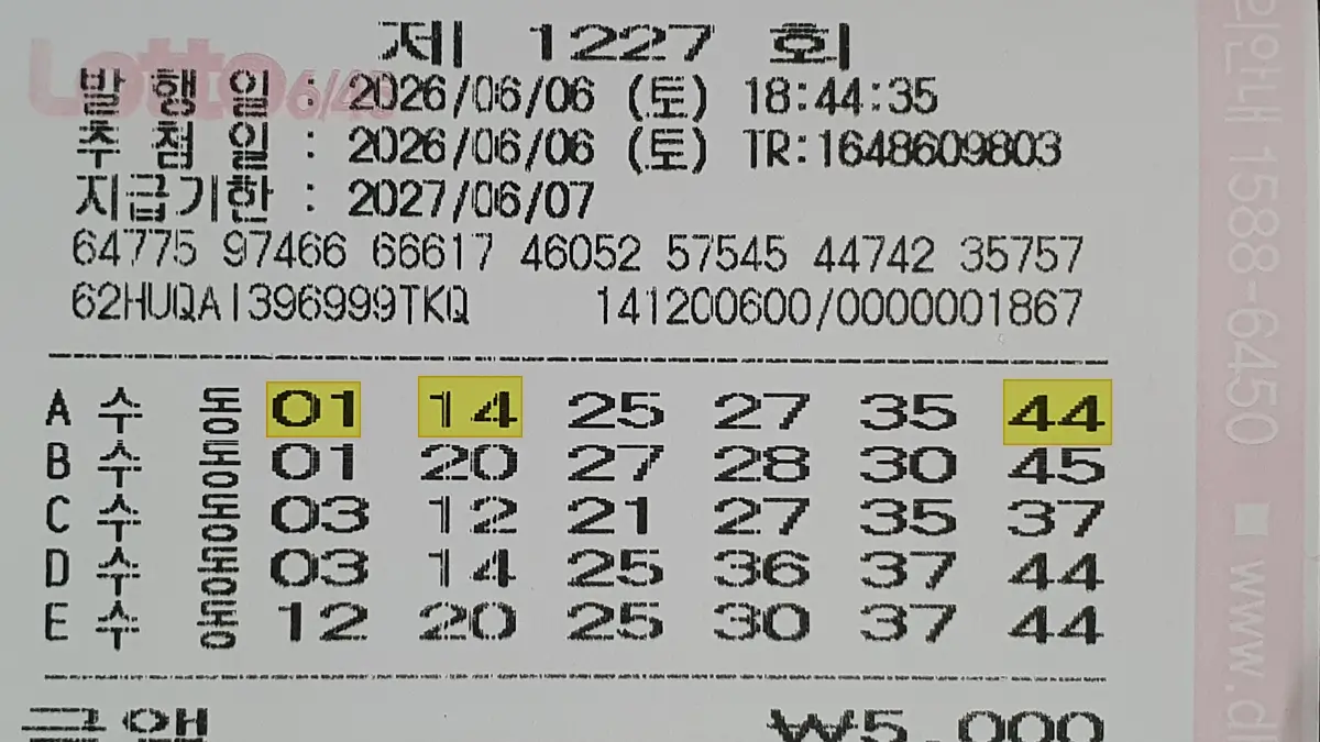 로또 1227회 당첨 5등 구매 영수증 로또 1227회 당첨 5등 구매 영수증